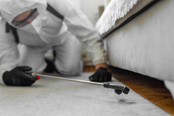 Professional Bed Bug Control technician working in Alexander City, AL