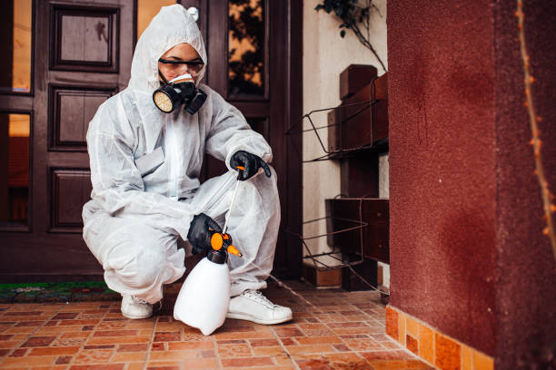 Reliable Bed Bug Control contractor in Alexander City, AL by Nex Pest Control