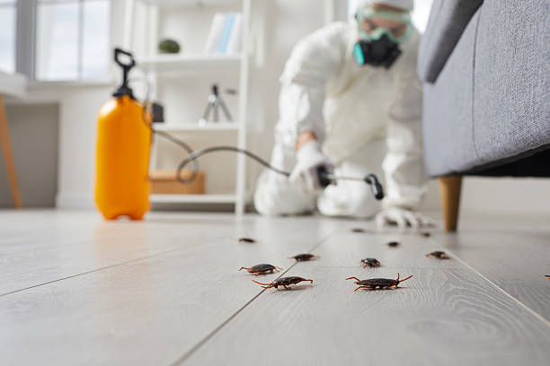 Trusted Cockroach Control service in Alexander City, AL - Nex Pest Control