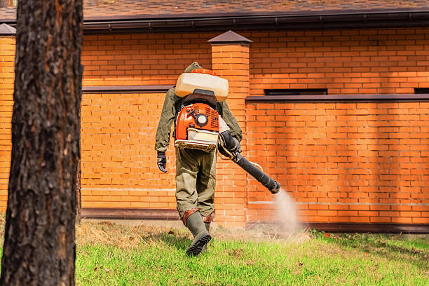 Trusted Ant Control service in Alexander City, AL - Nex Pest Control